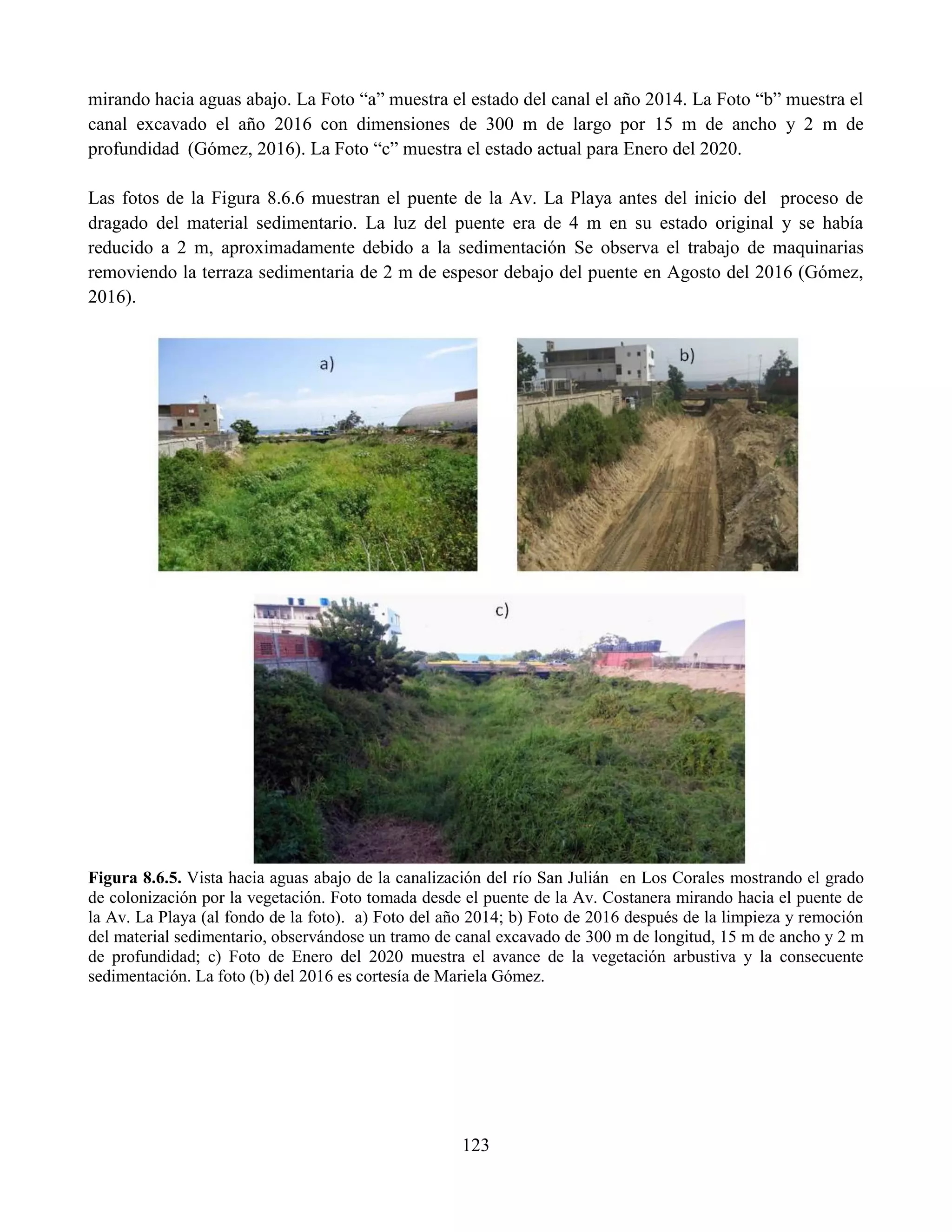 123
mirando hacia aguas abajo. La Foto “a” muestra el estado del canal el año 2014. La Foto “b” muestra el
canal excavado el año 2016 con dimensiones de 300 m de largo por 15 m de ancho y 2 m de
profundidad (Gómez, 2016). La Foto “c” muestra el estado actual para Enero del 2020.
Las fotos de la Figura 8.6.6 muestran el puente de la Av. La Playa antes del inicio del proceso de
dragado del material sedimentario. La luz del puente era de 4 m en su estado original y se había
reducido a 2 m, aproximadamente debido a la sedimentación Se observa el trabajo de maquinarias
removiendo la terraza sedimentaria de 2 m de espesor debajo del puente en Agosto del 2016 (Gómez,
2016).
Figura 8.6.5. Vista hacia aguas abajo de la canalización del río San Julián en Los Corales mostrando el grado
de colonización por la vegetación. Foto tomada desde el puente de la Av. Costanera mirando hacia el puente de
la Av. La Playa (al fondo de la foto). a) Foto del año 2014; b) Foto de 2016 después de la limpieza y remoción
del material sedimentario, observándose un tramo de canal excavado de 300 m de longitud, 15 m de ancho y 2 m
de profundidad; c) Foto de Enero del 2020 muestra el avance de la vegetación arbustiva y la consecuente
sedimentación. La foto (b) del 2016 es cortesía de Mariela Gómez.
 