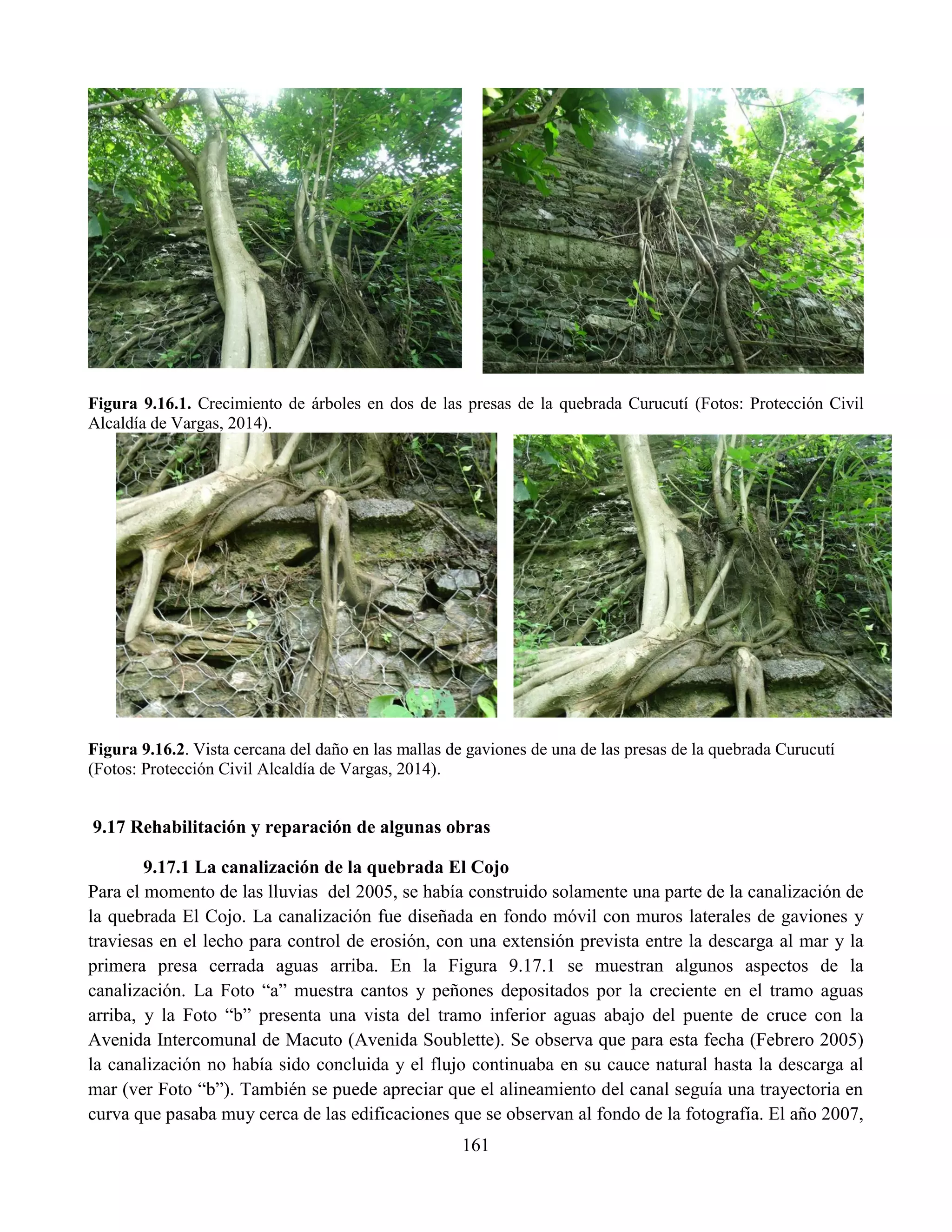 161
Figura 9.16.1. Crecimiento de árboles en dos de las presas de la quebrada Curucutí (Fotos: Protección Civil
Alcaldía de Vargas, 2014).
Figura 9.16.2. Vista cercana del daño en las mallas de gaviones de una de las presas de la quebrada Curucutí
(Fotos: Protección Civil Alcaldía de Vargas, 2014).
9.17 Rehabilitación y reparación de algunas obras
9.17.1 La canalización de la quebrada El Cojo
Para el momento de las lluvias del 2005, se había construido solamente una parte de la canalización de
la quebrada El Cojo. La canalización fue diseñada en fondo móvil con muros laterales de gaviones y
traviesas en el lecho para control de erosión, con una extensión prevista entre la descarga al mar y la
primera presa cerrada aguas arriba. En la Figura 9.17.1 se muestran algunos aspectos de la
canalización. La Foto “a” muestra cantos y peñones depositados por la creciente en el tramo aguas
arriba, y la Foto “b” presenta una vista del tramo inferior aguas abajo del puente de cruce con la
Avenida Intercomunal de Macuto (Avenida Soublette). Se observa que para esta fecha (Febrero 2005)
la canalización no había sido concluida y el flujo continuaba en su cauce natural hasta la descarga al
mar (ver Foto “b”). También se puede apreciar que el alineamiento del canal seguía una trayectoria en
curva que pasaba muy cerca de las edificaciones que se observan al fondo de la fotografía. El año 2007,
 