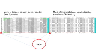 Matrix of distances between samples based on
Gene Expression
Matrix of distances between samples based on
Abundance of RNA editing
HCC202
 