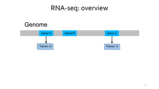 RNA-seq: overview
Genome
Gene A Gene B Gene C
Transcr. ATranscr. ATranscr. A Transcr. ATranscr. C
21
 