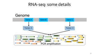 RNA-seq: some details
Genome
Gene A Gene B Gene C
Transcr.Transcr.Transcr. A Transcr.
PCR amplification
26
Transcr. C
 