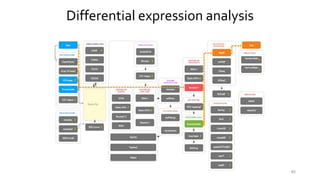 Differential expression analysis
85
 