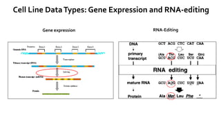 Cell Line DataTypes: Gene Expression and RNA-editing
RNA-EditingGene expression
 