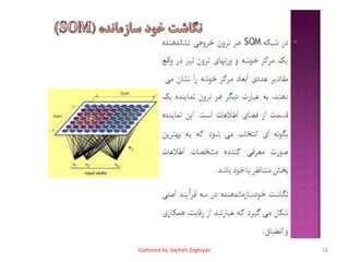 28Gathered by: Vajiheh Zoghiyan
 