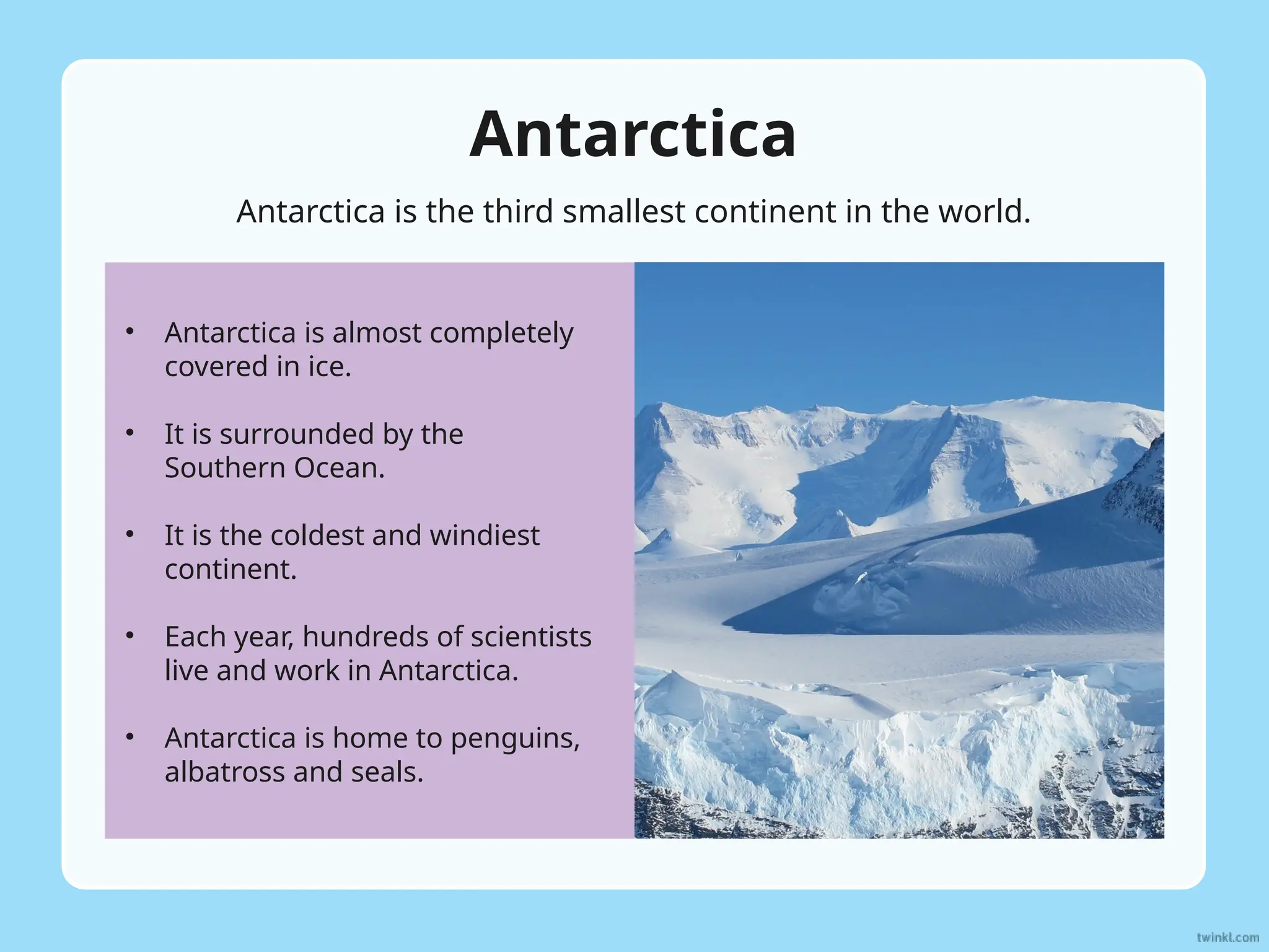 Antarctica
• Antarctica is almost completely
covered in ice.
• It is surrounded by the
Southern Ocean.
• It is the coldest and windiest
continent.
• Each year, hundreds of scientists
live and work in Antarctica.
• Antarctica is home to penguins,
albatross and seals.
Antarctica is the third smallest continent in the world.
 