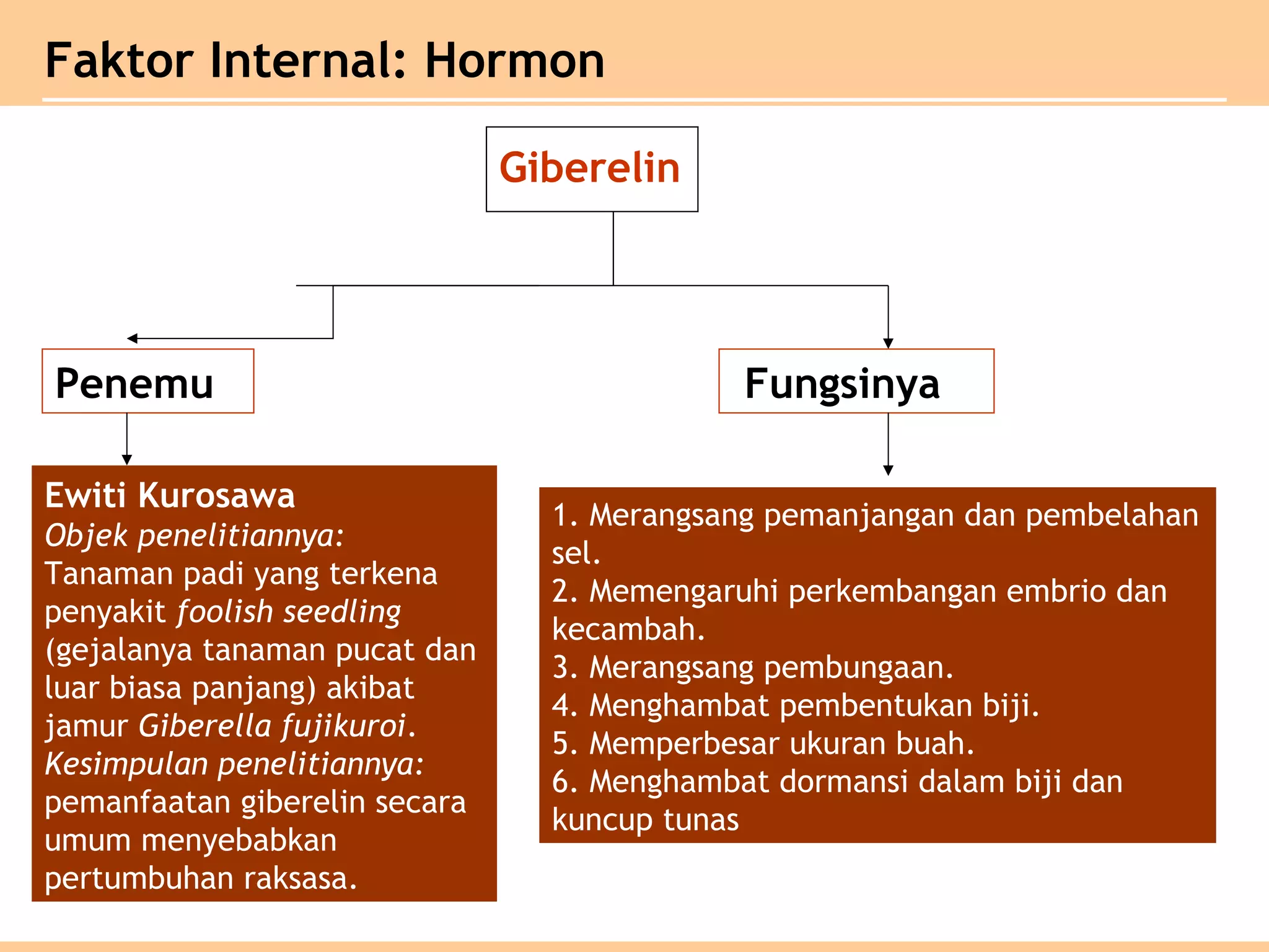 Faktor Internal: Hormon
Giberelin
Penemu Fungsinya
Ewiti Kurosawa
Objek penelitiannya:
Tanaman padi yang terkena
penyakit foolish seedling
(gejalanya tanaman pucat dan
luar biasa panjang) akibat
jamur Giberella fujikuroi.
Kesimpulan penelitiannya:
pemanfaatan giberelin secara
umum menyebabkan
pertumbuhan raksasa.
1. Merangsang pemanjangan dan pembelahan
sel.
2. Memengaruhi perkembangan embrio dan
kecambah.
3. Merangsang pembungaan.
4. Menghambat pembentukan biji.
5. Memperbesar ukuran buah.
6. Menghambat dormansi dalam biji dan
kuncup tunas
 