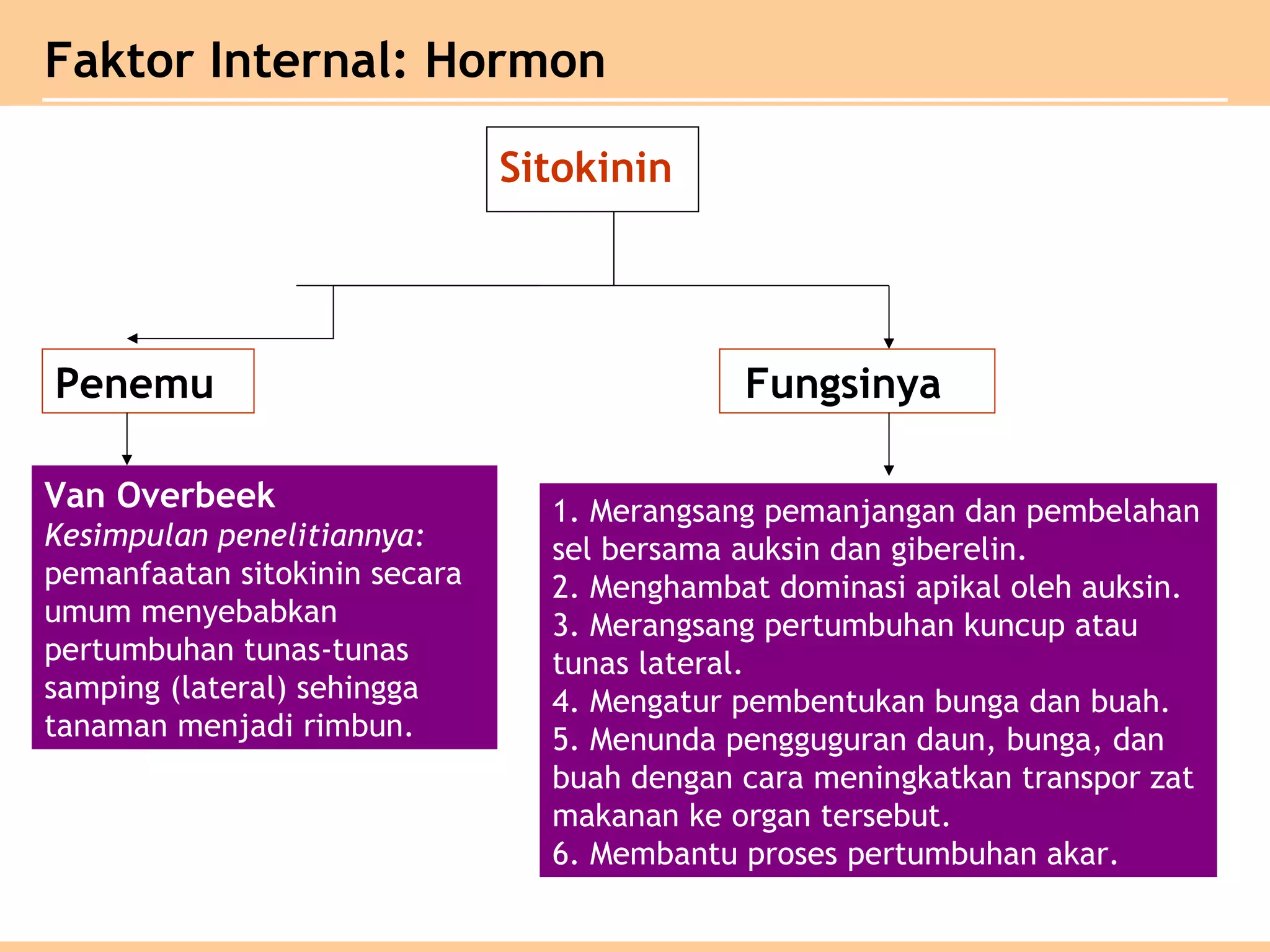 Sitokinin
Penemu Fungsinya
Van Overbeek
Kesimpulan penelitiannya:
pemanfaatan sitokinin secara
umum menyebabkan
pertumbuhan tunas-tunas
samping (lateral) sehingga
tanaman menjadi rimbun.
1. Merangsang pemanjangan dan pembelahan
sel bersama auksin dan giberelin.
2. Menghambat dominasi apikal oleh auksin.
3. Merangsang pertumbuhan kuncup atau
tunas lateral.
4. Mengatur pembentukan bunga dan buah.
5. Menunda pengguguran daun, bunga, dan
buah dengan cara meningkatkan transpor zat
makanan ke organ tersebut.
6. Membantu proses pertumbuhan akar.
Faktor Internal: Hormon
 