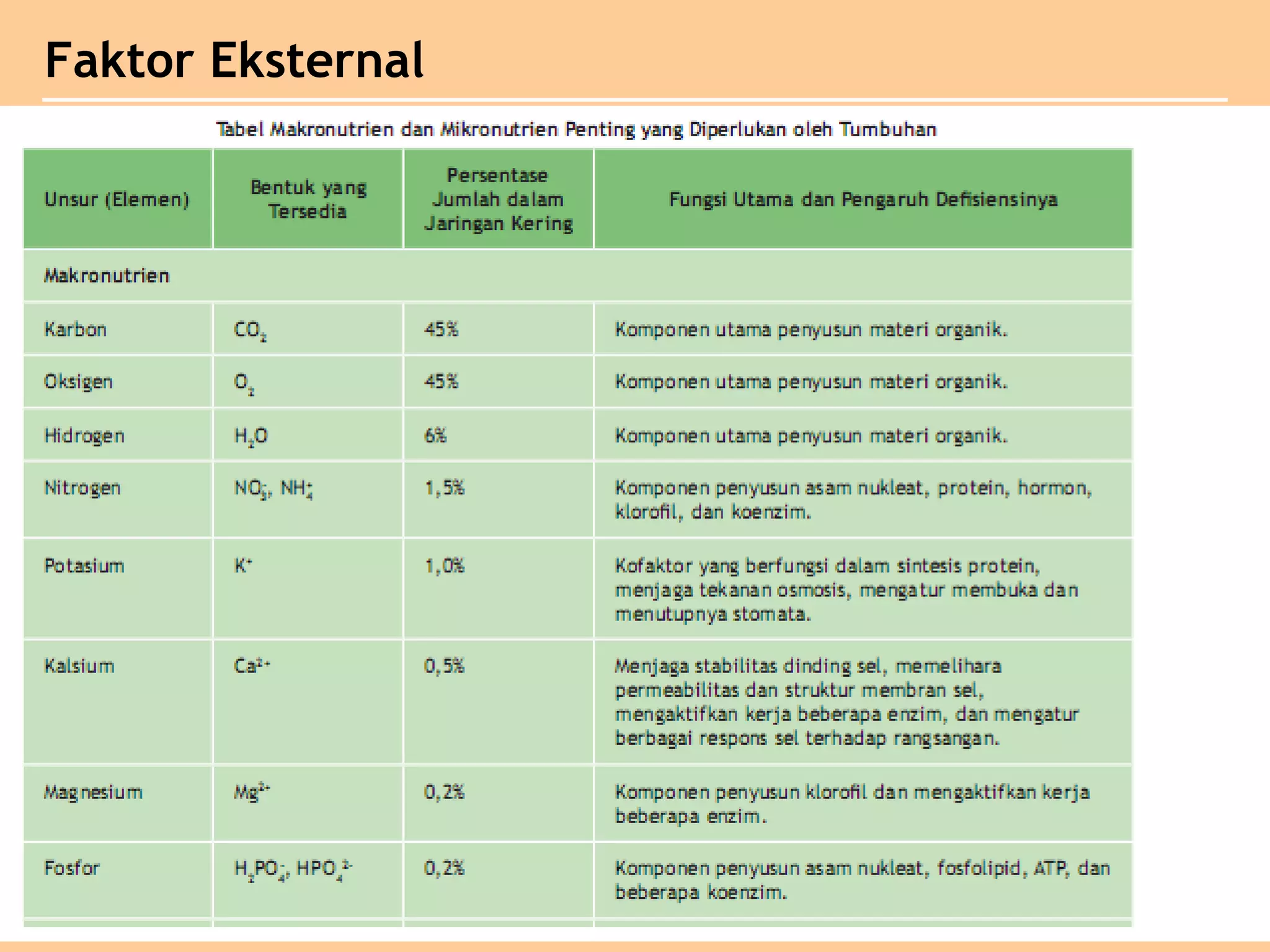 Faktor Eksternal
 