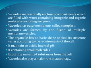  Vacuoles are essentially enclosed compartments which
are filled with water containing inorganic and organic
molecules including enzymes.
 Vacuoles has outer membrane called tonoplast.
 Vacuoles are formed by the fusion of multiple
membrane vesicles.
 The organelle has no basic shape or size; its structure
varies according to the requirements of the cell.
 It maintain an acidic internal pH.
 It containing small molecules.
 Exporting unwanted substances from the cell.
 Vacuoles also play a major role in autophagy.
 