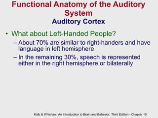 Functional Anatomy of the Auditory System Auditory Cortex What about Left-Handed People? About 70% are similar to right-handers and have language in left hemisphere  In the remaining 30%, speech is represented either in the right hemisphere or bilaterally Kolb & Whishaw, An Introduction to Brain and Behavior, Third Edition - Chapter 10 