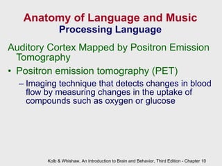 Anatomy of Language and Music Processing Language Auditory Cortex Mapped by Positron Emission Tomography Positron emission tomography (PET) Imaging technique that detects changes in blood flow by measuring changes in the uptake of compounds such as oxygen or glucose Kolb & Whishaw, An Introduction to Brain and Behavior, Third Edition - Chapter 10 