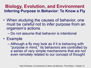 Biology, Evolution, and Environment Inferring Purpose in Behavior: To Know a Fly When studying the causes of behavior, one must be careful not to infer purpose from an organism’s actions Do not assume that behavior is intentional Example Although a fly may look as if it is behaving with “purpose in mind,” its behaviors are controlled by a series of very simple mechanisms that are not even remotely related to our concept of thought  Kolb & Whishaw, An Introduction to Brain and Behavior, Third Edition - Chapter 12 