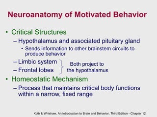 Neuroanatomy of Motivated Behavior Critical Structures Hypothalamus and associated pituitary gland Sends information to other brainstem circuits to produce behavior Limbic system Frontal lobes Homeostatic Mechanism Process that maintains critical body functions within a narrow, fixed range Kolb & Whishaw, An Introduction to Brain and Behavior, Third Edition - Chapter 12 Both project to  the hypothalamus 