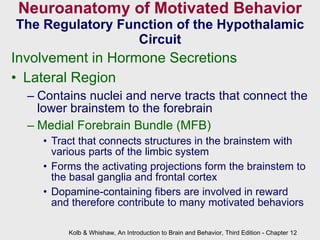 Neuroanatomy of Motivated Behavior The Regulatory Function of the Hypothalamic Circuit Involvement in Hormone Secretions  Lateral Region  Contains nuclei and nerve tracts that connect the lower brainstem to the forebrain Medial Forebrain Bundle (MFB) Tract that connects structures in the brainstem with various parts of the limbic system Forms the activating projections form the brainstem to the basal ganglia and frontal cortex Dopamine-containing fibers are involved in reward and therefore contribute to many motivated behaviors Kolb & Whishaw, An Introduction to Brain and Behavior, Third Edition - Chapter 12 
