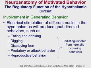 Neuroanatomy of Motivated Behavior The Regulatory Function of the Hypothalamic Circuit Involvement in Generating Behavior  Electrical stimulation of different nuclei in the hypothalamus will produce goal-directed behaviors, such as: Eating and drinking Digging Displaying fear Predatory or attack behavior Reproductive behavior Kolb & Whishaw, An Introduction to Brain and Behavior, Third Edition - Chapter 12 Indistinguishable  from normally  occurring  behaviors 