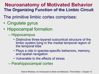 Neuroanatomy of Motivated Behavior The Organizing Function of the Limbic Circuit The primitive limbic cortex comprises:   Cingulate gyrus Hippocampal formation Hippocampus Distinctive three-layered subcortical structure of the limbic system lying in the medial temporal region of the temporal lobe Plays a role in species-specific behaviors, memory, and spatial navigation Vulnerable to the effects of stress  Parahippocampal cortex   Kolb & Whishaw, An Introduction to Brain and Behavior, Third Edition - Chapter 12 
