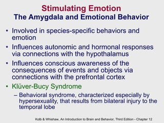 Stimulating Emotion The Amygdala and Emotional Behavior Involved in species-specific behaviors and emotion Influences autonomic and hormonal responses via connections with the hypothalamus Influences conscious awareness of the consequences of events and objects via connections with the prefrontal cortex Kl ü ver-Bucy Syndrome Behavioral syndrome, characterized especially by hypersexuality, that results from bilateral injury to the temporal lobe Kolb & Whishaw, An Introduction to Brain and Behavior, Third Edition - Chapter 12 