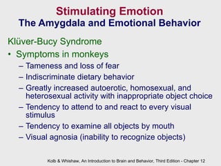 Stimulating Emotion The Amygdala and Emotional Behavior Kl ü ver-Bucy Syndrome Symptoms in monkeys Tameness and loss of fear Indiscriminate dietary behavior  Greatly increased autoerotic, homosexual, and heterosexual activity with inappropriate object choice Tendency to attend to and react to every visual stimulus Tendency to examine all objects by mouth Visual agnosia (inability to recognize objects) Kolb & Whishaw, An Introduction to Brain and Behavior, Third Edition - Chapter 12 