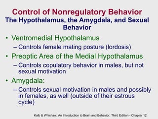 Control of Nonregulatory Behavior The Hypothalamus, the Amygdala, and Sexual Behavior Ventromedial Hypothalamus  Controls female mating posture (lordosis) Preoptic Area of the Medial Hypothalamus  Controls copulatory behavior in males, but not sexual motivation Amygdala:  Controls sexual motivation in males and possibly in females, as well (outside of their estrous cycle) Kolb & Whishaw, An Introduction to Brain and Behavior, Third Edition - Chapter 12 