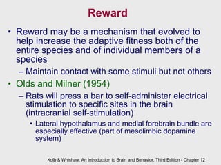 Reward Reward may be a mechanism that evolved to help increase the adaptive fitness both of the entire species and of individual members of a species Maintain contact with some stimuli but not others Olds and Milner (1954) Rats will press a bar to self-administer electrical stimulation to specific sites in the brain (intracranial self-stimulation) Lateral hypothalamus and medial forebrain bundle are especially effective (part of mesolimbic dopamine system) Kolb & Whishaw, An Introduction to Brain and Behavior, Third Edition - Chapter 12 