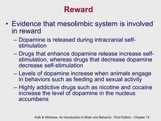 Reward Evidence that mesolimbic system is involved in reward Dopamine is released during intracranial self-stimulation Drugs that enhance dopamine release increase self-stimulation, whereas drugs that decrease dopamine decrease self-stimulation Levels of dopamine increase when animals engage in behaviors such as feeding and sexual activity  Highly addictive drugs such as nicotine and cocaine increase the level of dopamine in the nucleus accumbens Kolb & Whishaw, An Introduction to Brain and Behavior, Third Edition - Chapter 12 