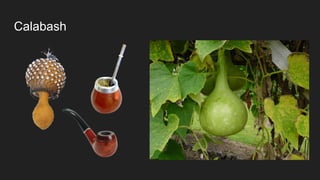 Calabash
 