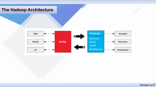 The Hadoop Architecture
Hadoop
Common
HDFS
YARN
MapReduce
 