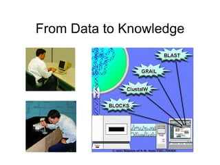 From Data to Knowledge 