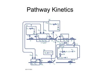 Pathway Kinetics 
