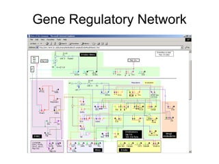 Gene Regulatory Network 