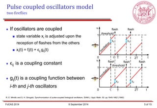 If oscillators are coupled 
 state variable xi is adjusted upon the 
reception of flashes from the others 
 xi(t) = fi(t) + ϵij gij(t) 
 ϵij is a coupling constant 
 gij(t) is a coupling function between 
i-th and j-th oscillators 
R. E. Mirollo and S. H. Strogatz. Synchronization of pulse-coupled biological oscillators. SIAM J. Appl. Math. 50: pp.1645-1662 (1990) 
Pulse coupled oscillators model 
two fireflies 
0 
1 
t 
xi 
threshold 
flash flash 
T 2T 
0 
1 
t 
xj 
T 2T 
εij 
ti * 
tj * 
εij 
εji εji 
flash flash flash 
threshold 
FoCAS 2014 8 September 2014 5 of 15 
 