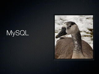 MySQL
 