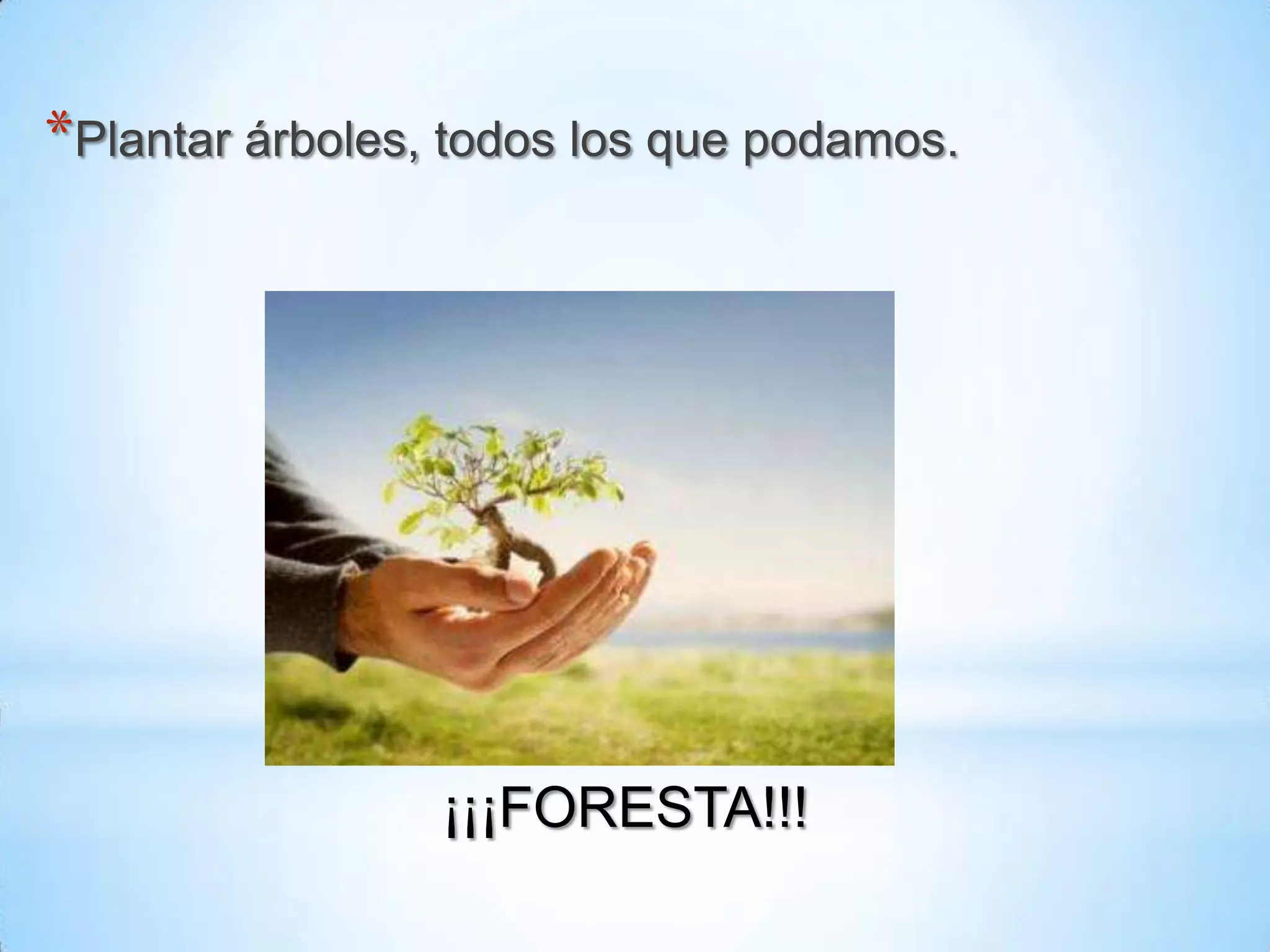 *Plantar árboles, todos los que podamos.

¡¡¡FORESTA!!!

 