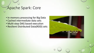 Apache Spark: Core
• In memory processing for Big Data
• Cached intermediate data sets
• Multi-step DAG based execution
• Resilient Distributed Data(RDD) sets
12
 