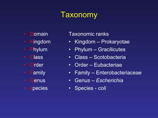 Taxonomy D omain K ingdom P hylum C lass O rder F amily G enus s pecies Taxonomic ranks Kingdom – Prokaryotae Phylum – Gracilicutes Class – Scotobacteria Order – Eubacteriae Family – Enterobacteriaceae Genus –  Escherichia Species -  coli 