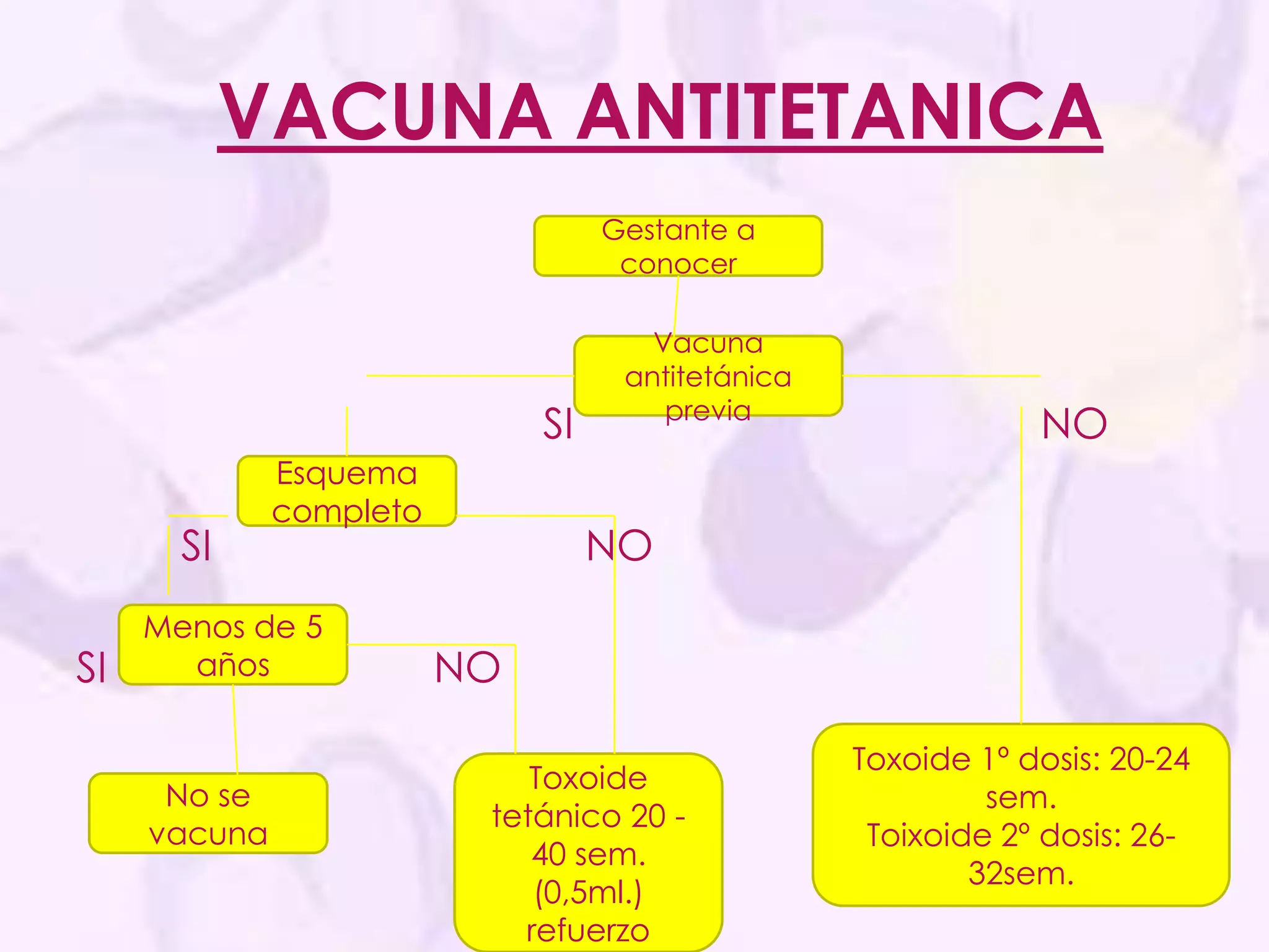 VACUNA ANTITETANICAGestante a conocer                                        SI                                        NO         SI                                NOSI                            NOVacuna antitetánica previaEsquema completoMenos de 5 añosToxoide 1º dosis: 20-24 sem.Toixoide 2º dosis: 26-32sem.Toxoide tetánico 20 - 40 sem. (0,5ml.) refuerzoNo se vacuna