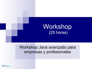 Workshop  (25 horas) Workshop Java avanzado para empresas y profesionales 
