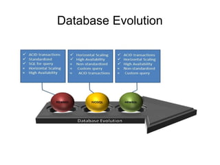 Database Evolution
 