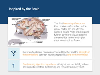 Inspired by the Brain
The first hierarchy of neurons
that receives information in the
visual cortex are sensitive to
specific edges while brain regions
further down the visual pipeline
are sensitive to more complex
structures such as faces.
Our brain has lots of neurons connected together and the strength of
the connections between neurons represents long term knowledge.
One learning algorithm hypothesis: all significant mental algorithms
are learned except for the learning and reward machinery itself.1
 