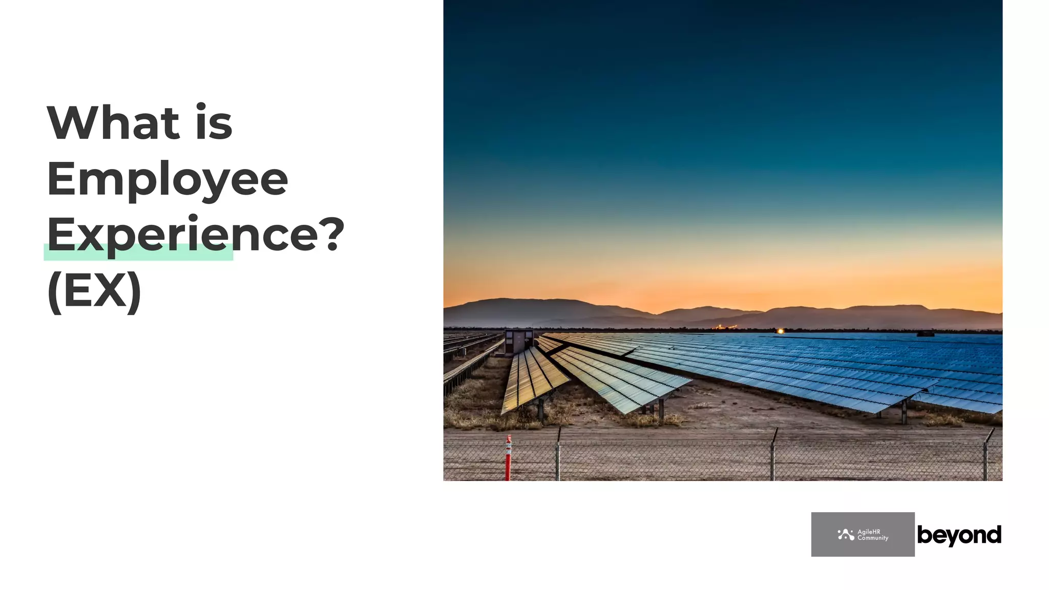 What is
Employee
Experience?
(EX)
 