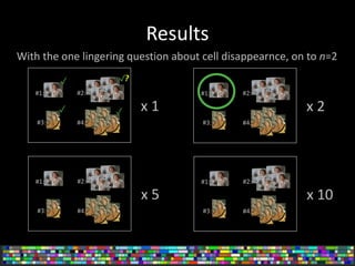 Results
With the one lingering question about cell disappearnce, on to n=2
#1: #2:
#3: #4:
x 1
#1: #2:
#3: #4:
x 2
#1: #2:
#3: #4:
x 5
#1: #2:
#3: #4:
x 10
✓✓
✓ ✓
?
 