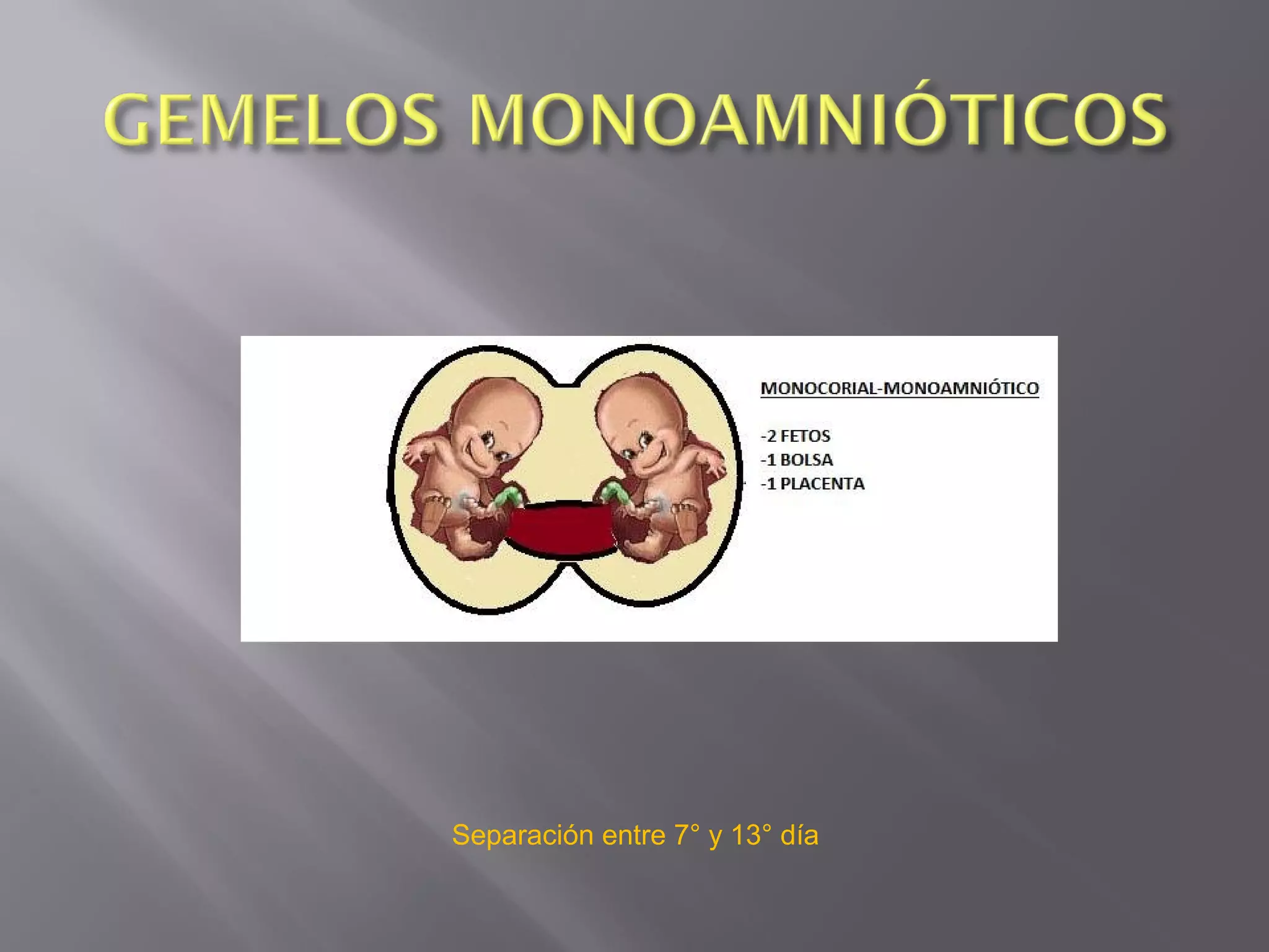 Separación entre 7° y 13° día
 