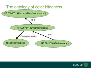 The ontology of color blindness
HP:0011518 (Dichromacy )HP:0011518 (Eye)
HP:0000551 (Abnormality of color vision )
HP:0007641 (Dyschromatopsia)
Is-a
Is-a
Disease-location
 