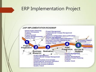 ERP Implementation Project
 