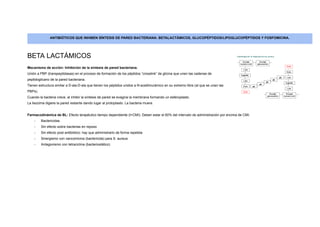 ANTIBIÓTICOS QUE INHIBEN SÍNTESIS DE PARED BACTERIANA: BETALACTÁMICOS, GLUCOPÉPTIDOS/LIPOGLUCOPÉPTIDOS Y FOSFOMICINA.
BETA LACTÁMICOS
Mecanismo de acción: Inhibición de la síntesis de pared bacteriana.
Unión a PBP (transpeptidasas) en el proceso de formación de los péptidos “crosslink” de glicina que unen las cadenas de
peptidoglicano de la pared bacteriana.
Tienen estructura similar a D-ala-D-ala que tienen los péptidos unidos a N-acetilmurámico en su extremo libre (al que se unen las
PBPs).
Cuando la bacteria crece, al inhibir la síntesis de pared se evagina la membrana formando un esferoplasto.
La lisozima digiere la pared restante dando lugar al protoplasto. La bacteria muere.
Farmacodinámica de BL: Efecto terapéutico tiempo dependiente (t>CMI): Deben estar el 60% del intervalo de administración por encima de CMI.
-​ Bactericidas
-​ Sin efecto sobre bacterias en reposo
-​ Sin efecto post antibiótico: hay que administrarlo de forma repetida
-​ Sinergismo con vancomicina (bactericida) para S. aureus
-​ Antagonismo con tetraciclina (bacteriostático)
 