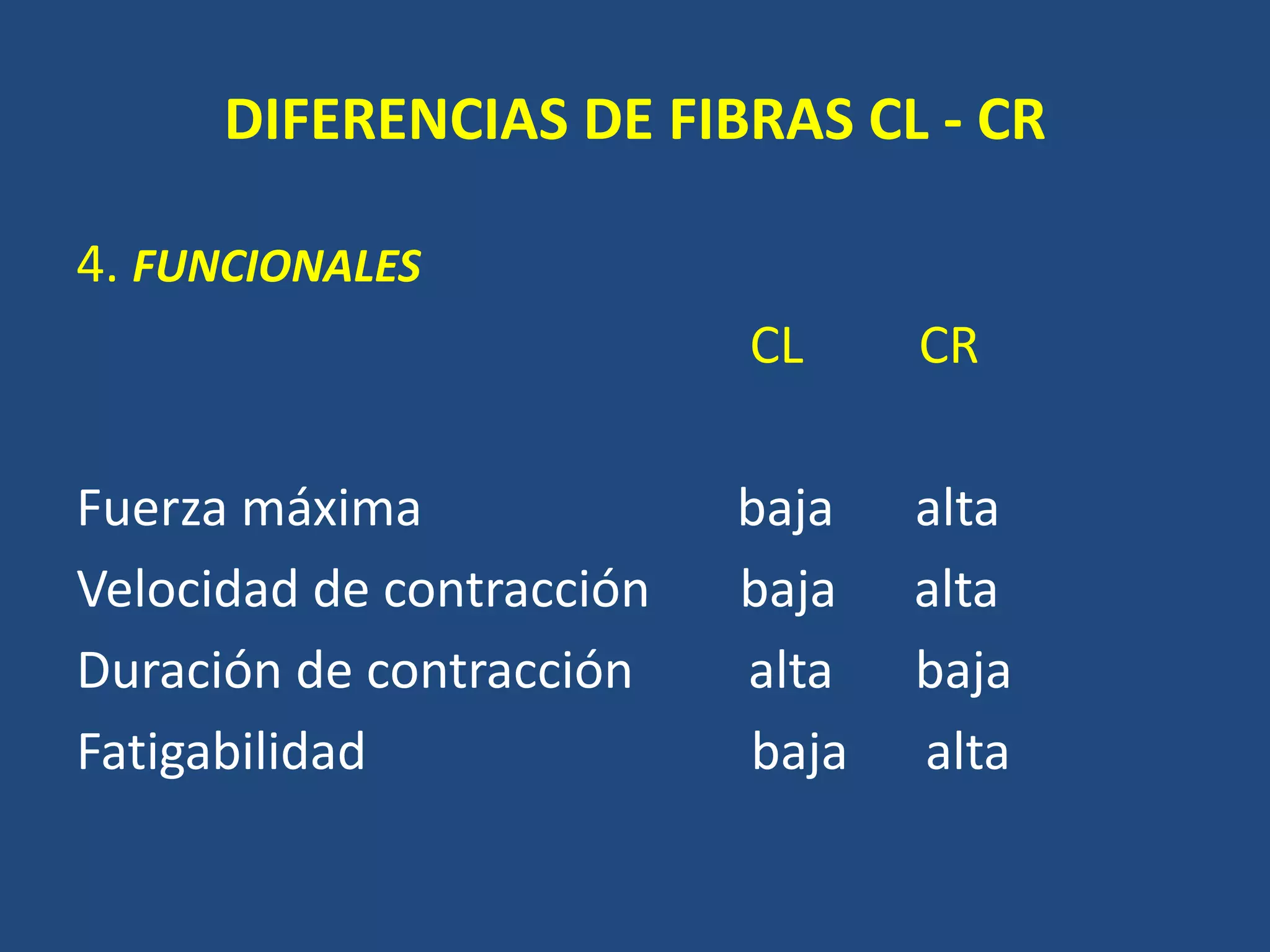 DIFERENCIAS DE FIBRAS CL - CR
4. FUNCIONALES
CL CR
Fuerza máxima baja alta
Velocidad de contracción baja alta
Duración de contracción alta baja
Fatigabilidad baja alta
 