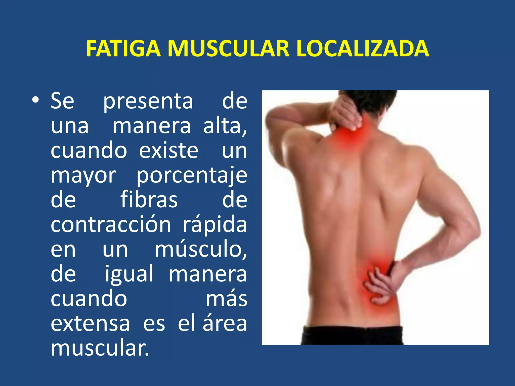 FATIGA MUSCULAR LOCALIZADA
• Se presenta de
una manera alta,
cuando existe un
mayor porcentaje
de fibras de
contracción rápida
en un músculo,
de igual manera
cuando más
extensa es el área
muscular.
 