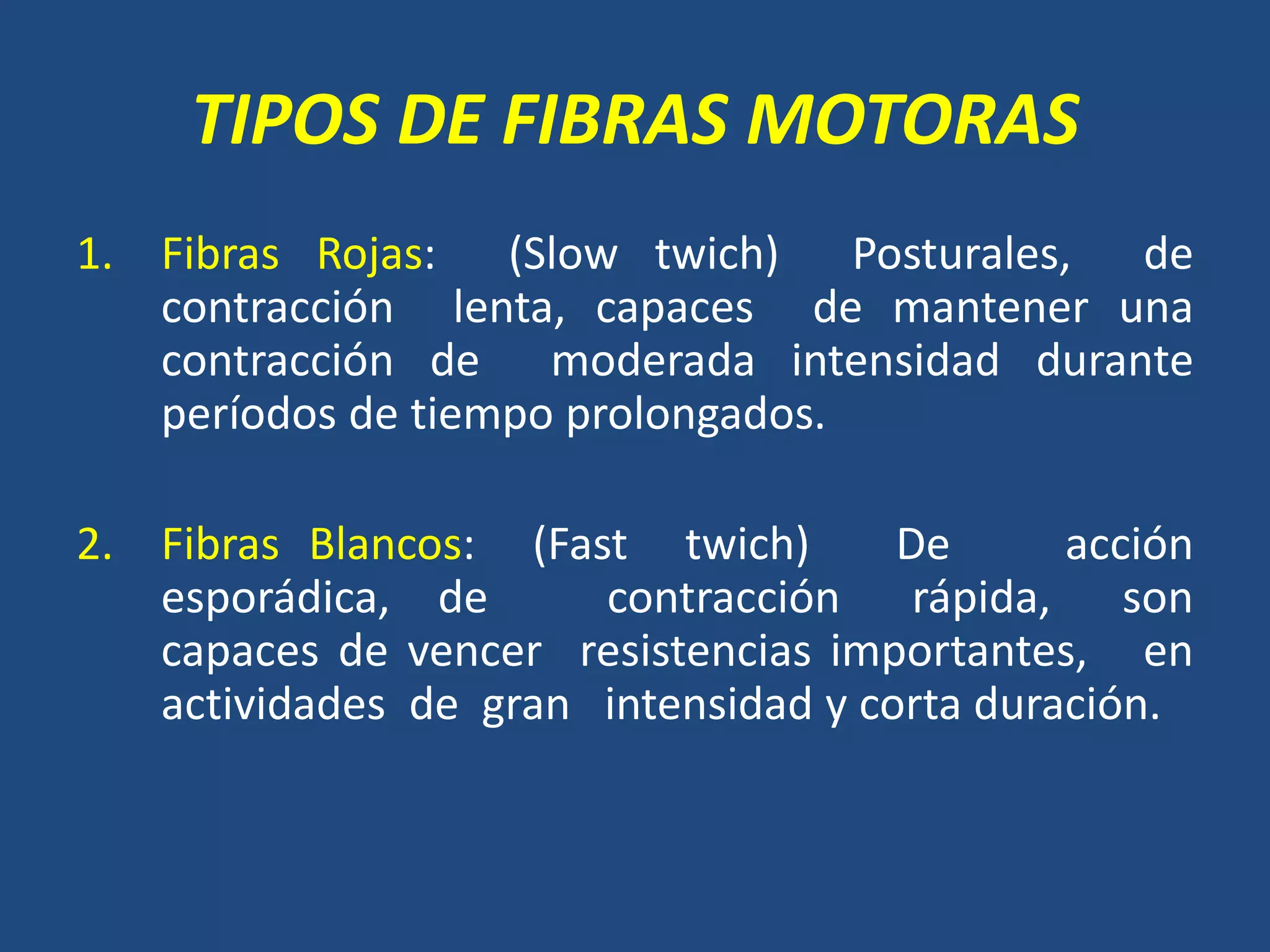 TIPOS DE FIBRAS MOTORAS
1. Fibras Rojas: (Slow twich) Posturales, de
contracción lenta, capaces de mantener una
contracción de moderada intensidad durante
períodos de tiempo prolongados.
2. Fibras Blancos: (Fast twich) De acción
esporádica, de contracción rápida, son
capaces de vencer resistencias importantes, en
actividades de gran intensidad y corta duración.
 