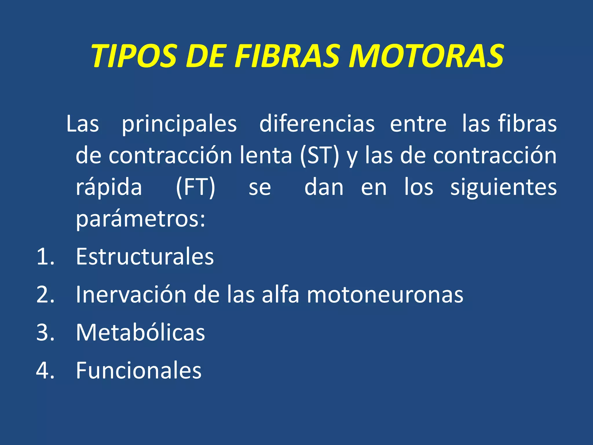 TIPOS DE FIBRAS MOTORAS
Las principales diferencias entre las fibras
de contracción lenta (ST) y las de contracción
rápida (FT) se dan en los siguientes
parámetros:
1. Estructurales
2. Inervación de las alfa motoneuronas
3. Metabólicas
4. Funcionales
 