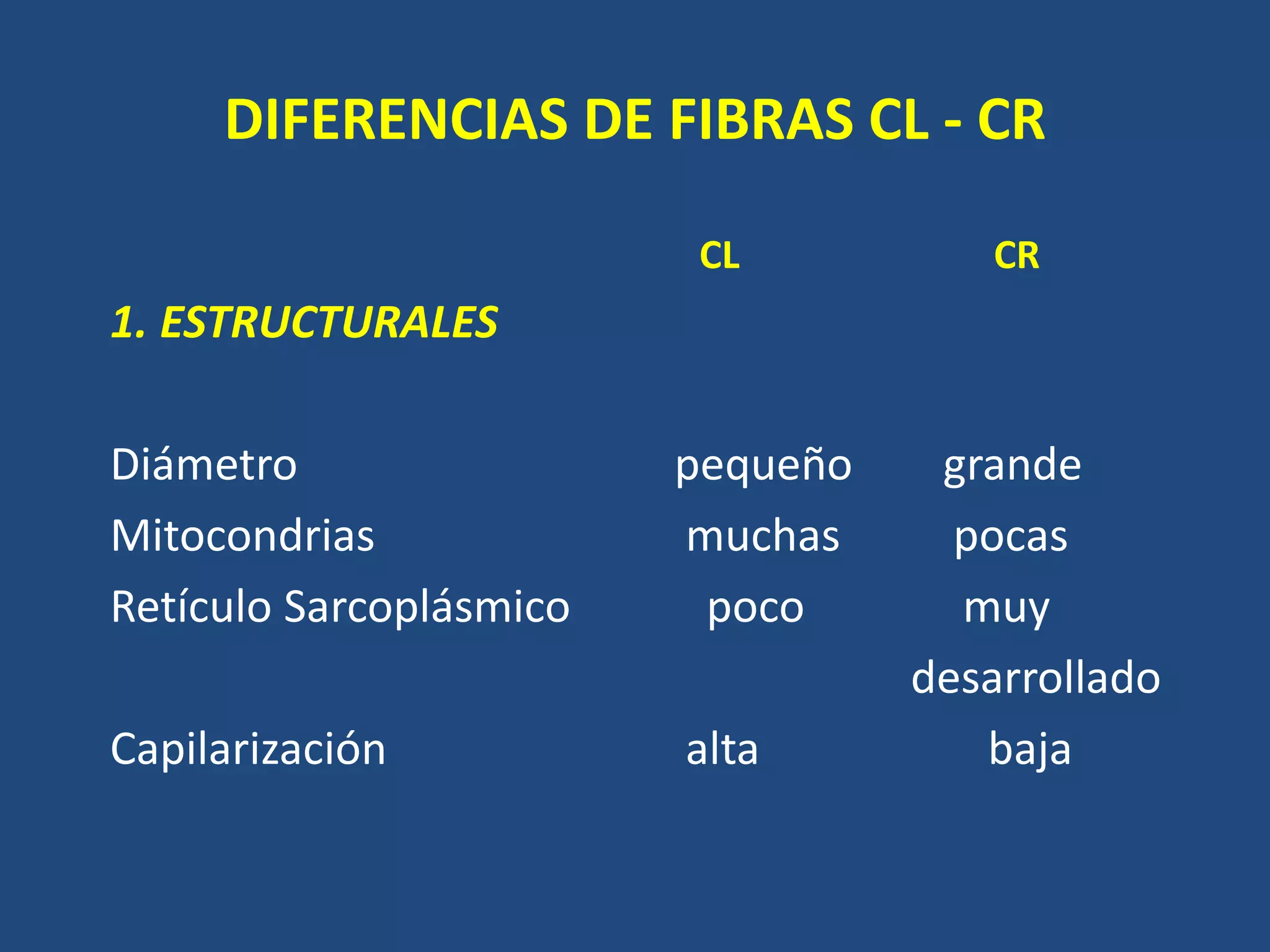 DIFERENCIAS DE FIBRAS CL - CR
CL CR
1. ESTRUCTURALES
Diámetro pequeño grande
Mitocondrias muchas pocas
Retículo Sarcoplásmico poco muy
desarrollado
Capilarización alta baja
 